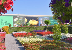 Op weg naar de MNP/Suntory locatie, waar Hishtil, Meilland, Cohen, Jaldety, HM Clause, Padana en Prudac hun highlights en noviteiten presenteerden.